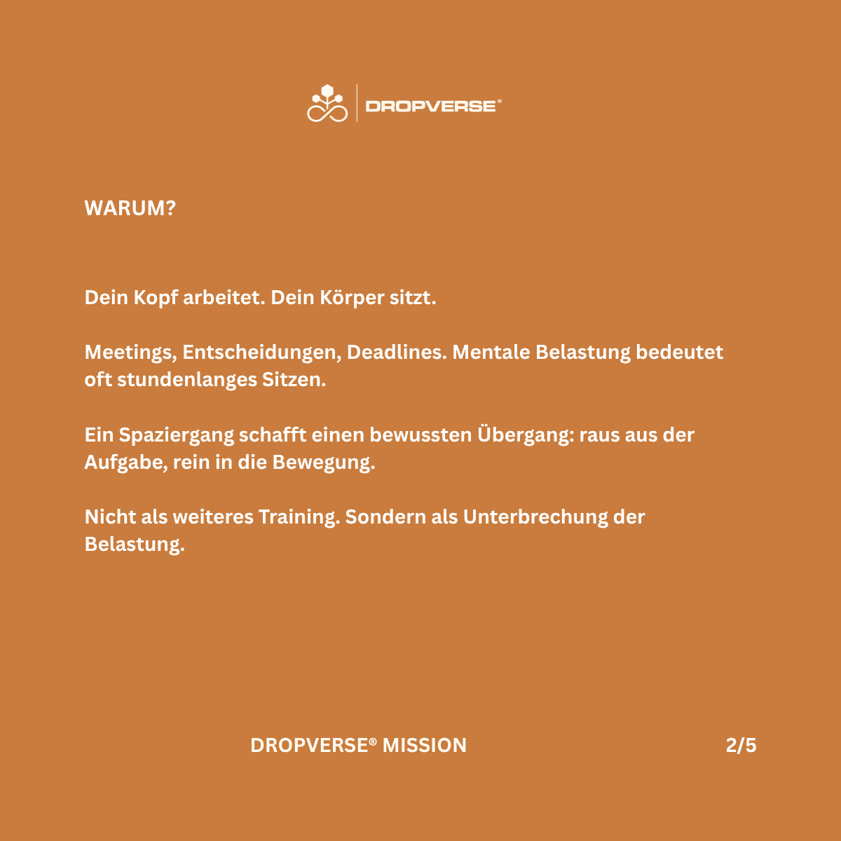 DROPVERSE® MISSION Level 1, Mission 06 "Walk", Seite 2 - Warum