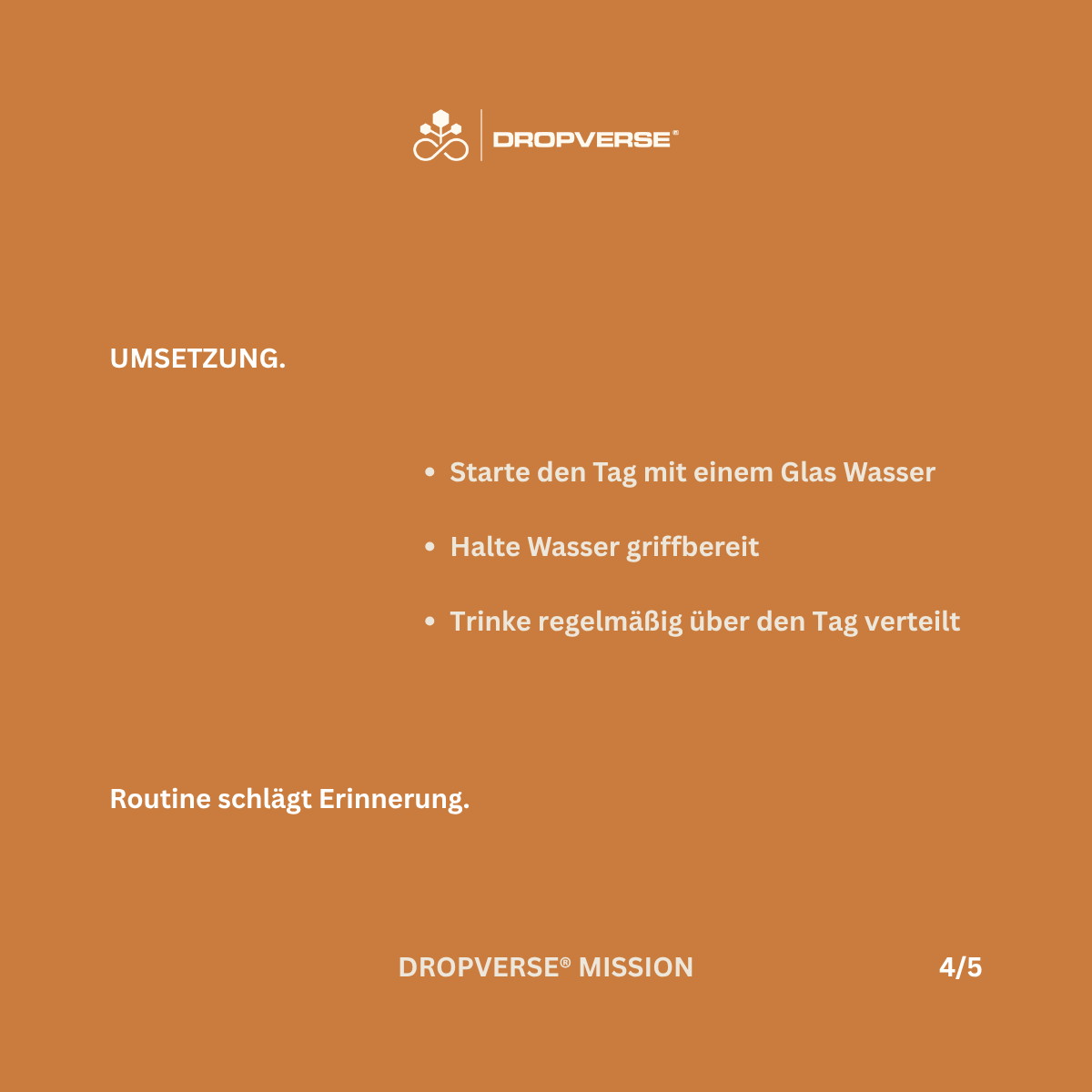 DROPVERSE® MISSION Level 1, Mission 03 "Hydrate", Seite 4 "Umsetzung"