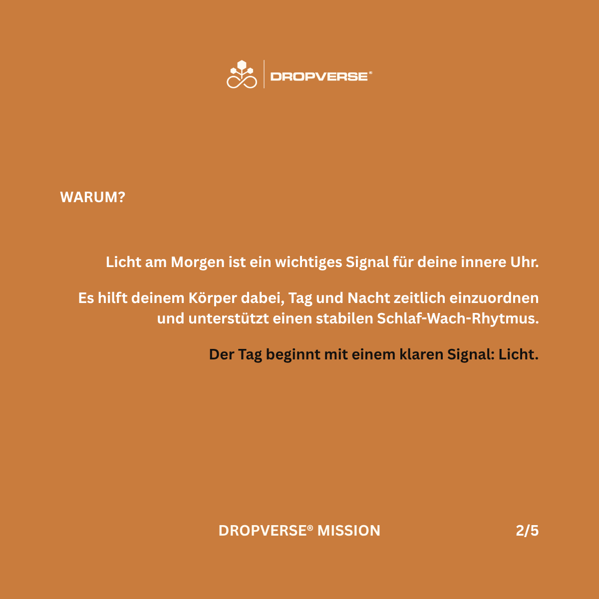DROPVERSE® MISSION Level 1, Mission 02 "Light", Seite 2 "Warum"