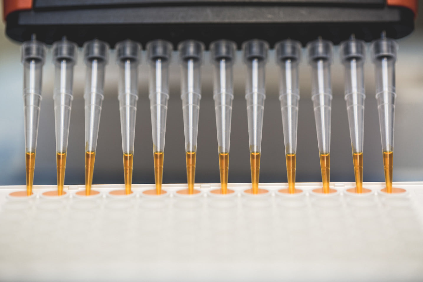 Mehrere präzise Laborpipetten dosieren goldfarbene Flüssigkeit in eine Analyseplatte unter kontrollierten Bedingungen. Die klaren Linien, metallischen Oberflächen und warmen Farbakzente vermitteln technische Präzision, moderne Qualitätskontrolle und eine sachliche Laboratmosphäre mit Fokus auf sorgfältige Analytik.