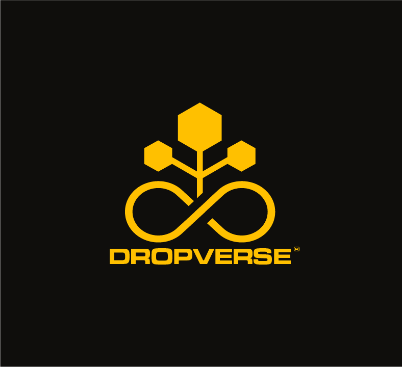 Video zur Beschreibung der Philosophie von DROPVERSE